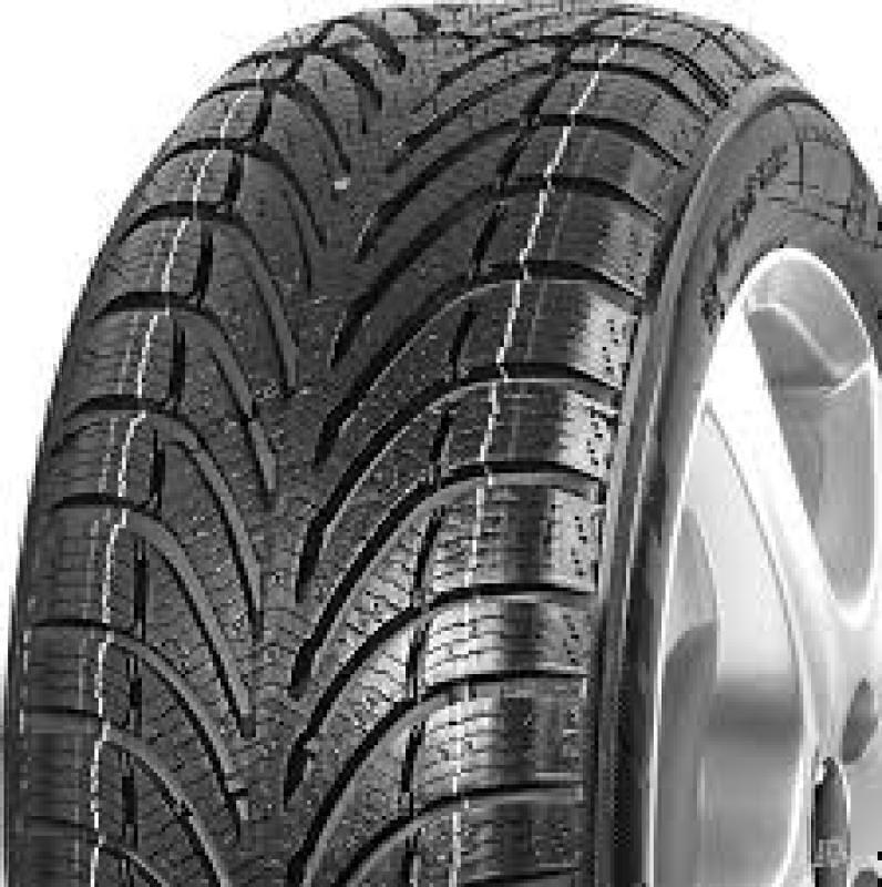 Bfgoodrich G-FORCE WINTER FR 225/50 R17 94H